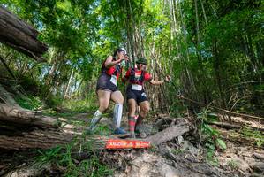 BIB: 
                            <button type="button" onclick="openModal(19391440)" class="btn btn-primary btn-sm float-right btn-popup" data-toggle="modal" data-target=".modal-high-quality">
                        <i class="fas fa-shopping-cart"></i> Add to Cart
                    </button>
                                            <button type="button" onclick="isThisMe(19391440, true)" class="btn btn-success btn-sm float-right btn-popup btn-isme hidden" data-toggle="tooltip" data-placement="bottom" title="นี่คือรูปของคุณใช่ไหม คลิกที่นี่เพื่อเอาเข้าอัลบั้ม">
                        <i class="fas fa-plus"></i> Add to album
                    </button>
                    <button type="button" onclick="isThisMe(19391440, false)" class="btn btn-warning btn-sm float-right btn-popup btn-isnotme hidden">
                        <i class="fas fa-ban"></i> Remove from album
                    </button>